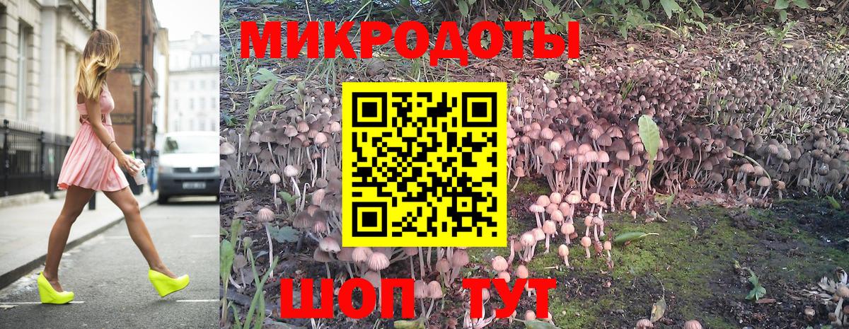 Гусев  Псилоцибиновые грибы ЛСД  Псилоцибиновые грибы Magic Shrooms  Вход с VPN 