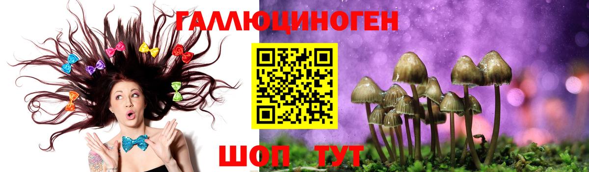 Псилоцибиновые грибы Magic Shrooms Гусев